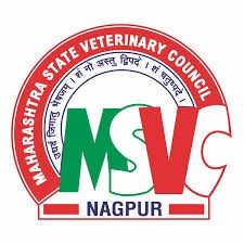MSVC logo